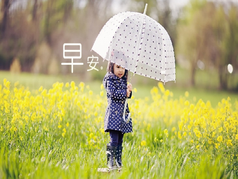 烧杯中放入试管遵义供卵试管福州试管最新价格